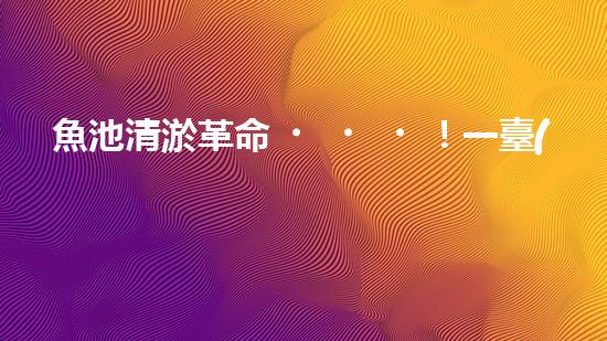 魚池清淤革命！一臺(tái)設(shè)備解決淤泥難題，你敢相信嗎？